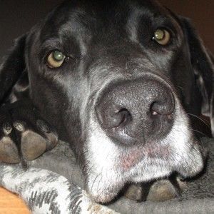 Meet your Posher, Deanna